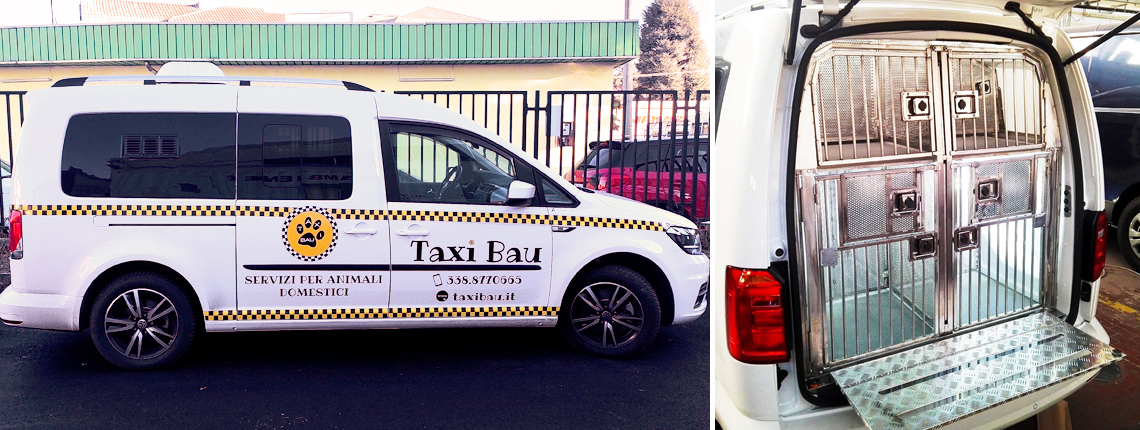 veicolo allestisto per trasporto animali taxi bau per servizi per animali domestici