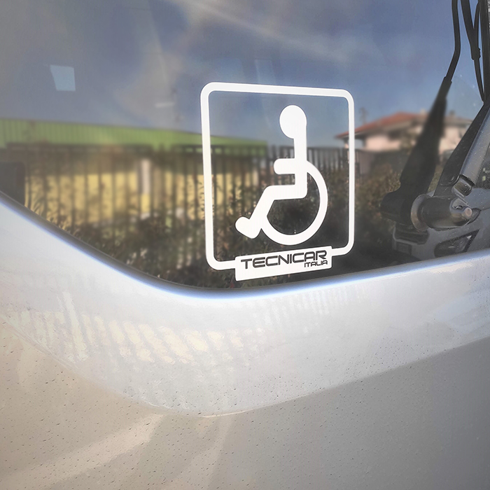 Veicolo allestito per trasposto disabili su FOrd Transit Custom